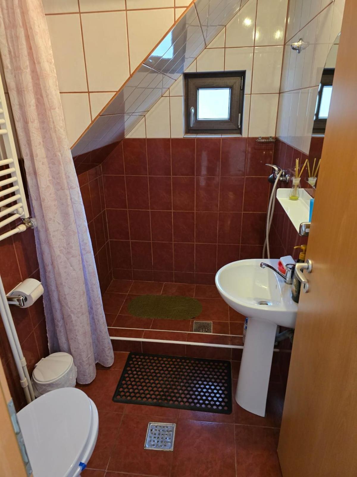 Casa Vivian Hotel Baile Herculane Ngoại thất bức ảnh